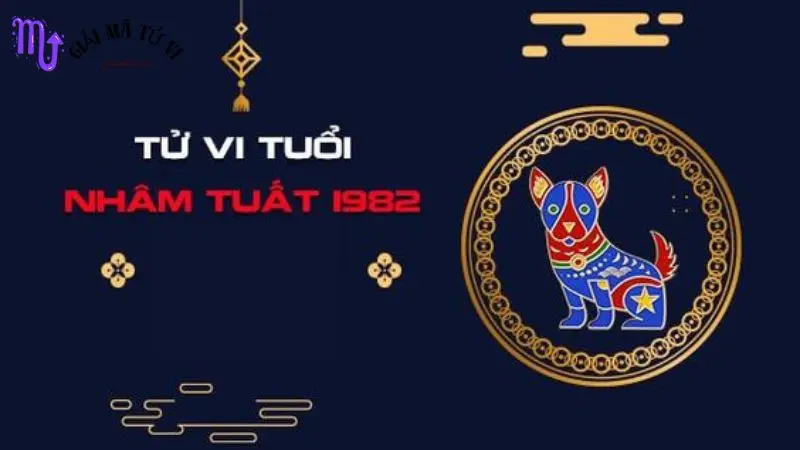 Lá số tử vi tuổi Nhâm Tuất