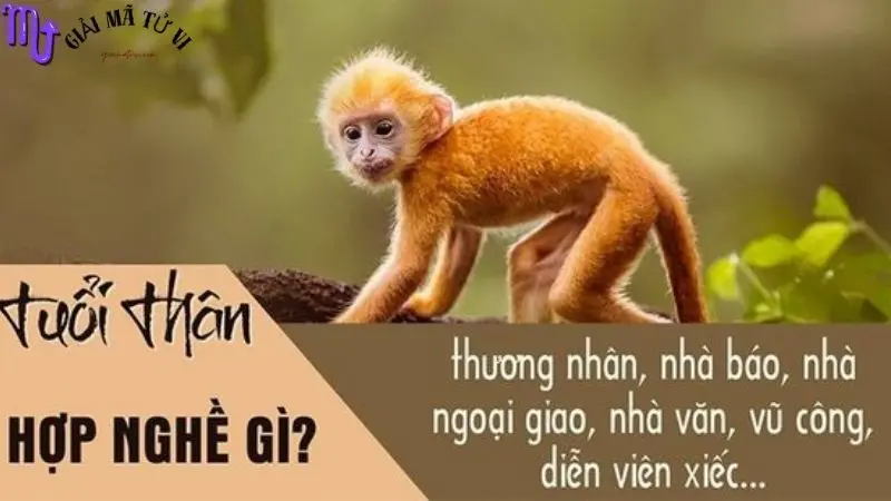 Lá số Tử vi tuổi Nhâm Thân 1992