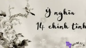 14 Chính Tinh trong tử vi