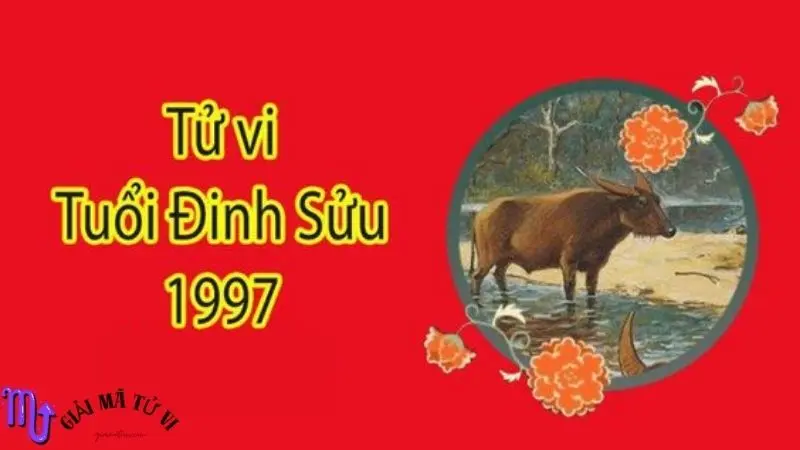 Tử Vi Tuổi Đinh Sửu