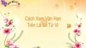 Xem hạn trong tử vi