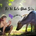 Tử Vi Tuổi Đinh Sửu