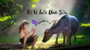 Tử Vi Tuổi Đinh Sửu