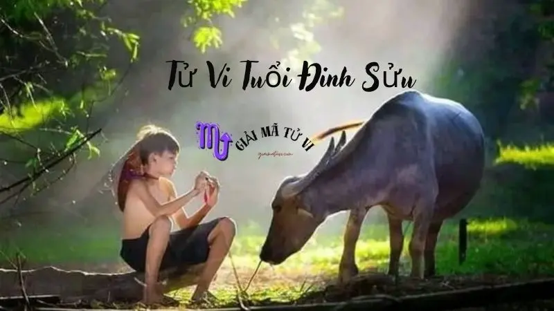 Tử Vi Tuổi Đinh Sửu