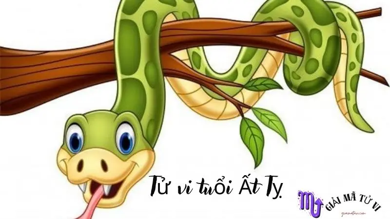 Tử vi tuổi Ất Tỵ