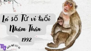 Lá số Tử vi tuổi Nhâm Thân 1992